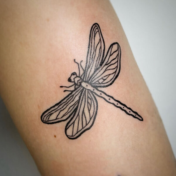 atticus tattoo, black line tattoo of a dragonfly