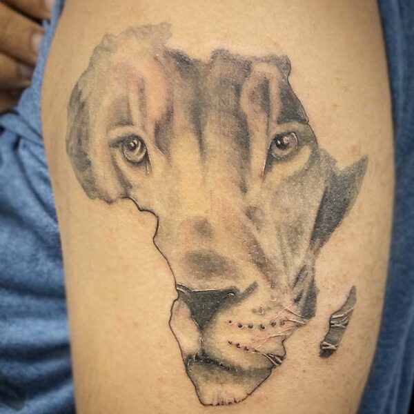 atticus tattoo, black and grey tattoo of a lions face in the shape of Africa