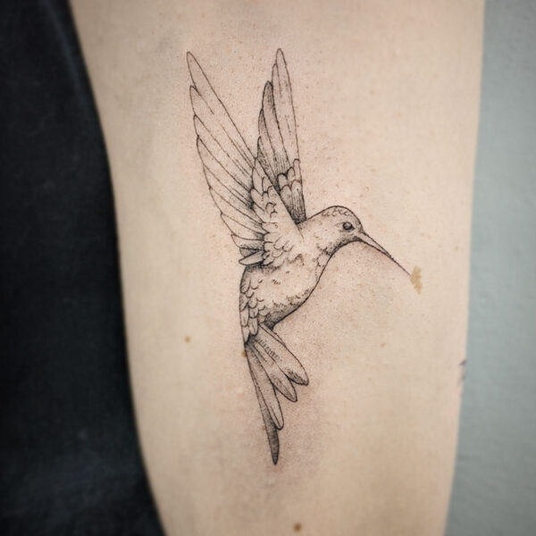 atticus tattoo, black and grey tattoo of a hummingbird