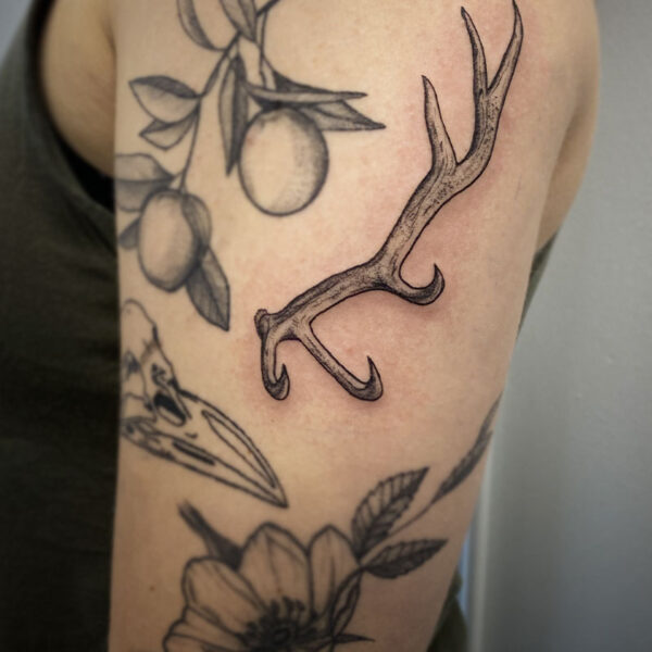 atticus tattoo, black and grey tattoo of a deer antler