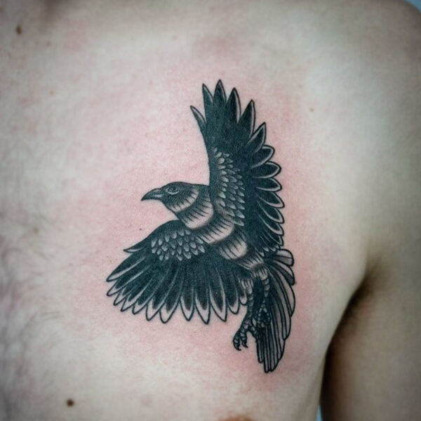 atticus tattoo, black and grey tattoo traditional tattoo of a raven