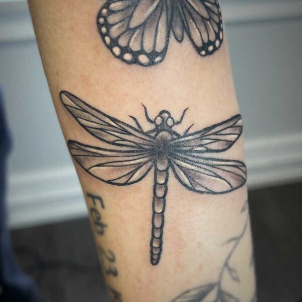 atticus tattoo, black and white tattoo of a dragonfly