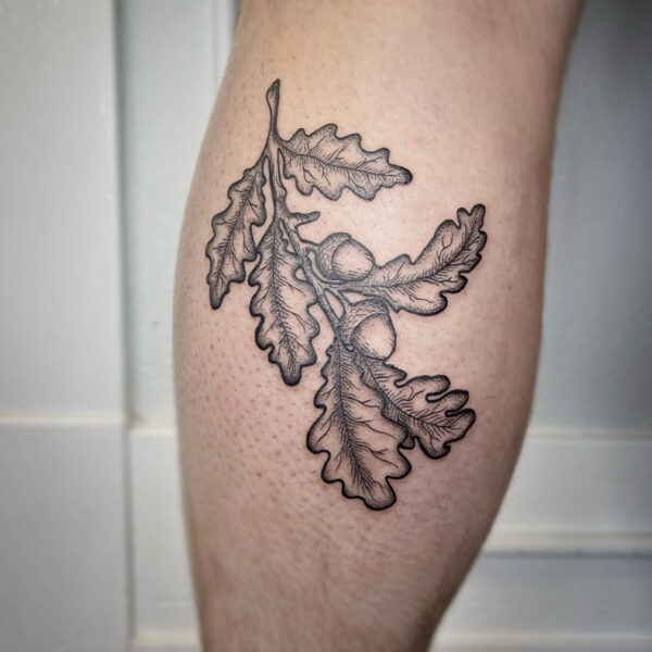 atticus tattoo, black and grey tattoo of oak leaves and acorns