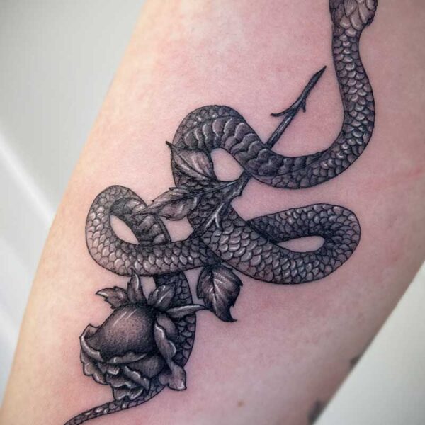 atticus tattoo, black and grey tattoo of a snake with a rose