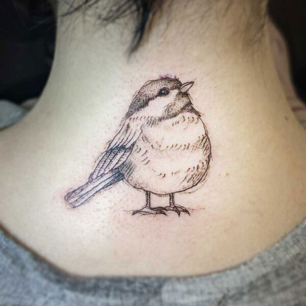 atticus tattoo, fine line tattoo of a bird