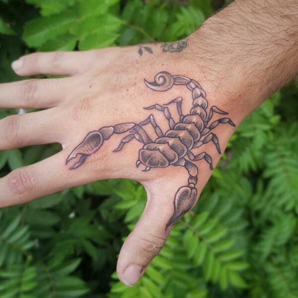 atticus tattoo, black and grey American traditional tattoo of a scorpion