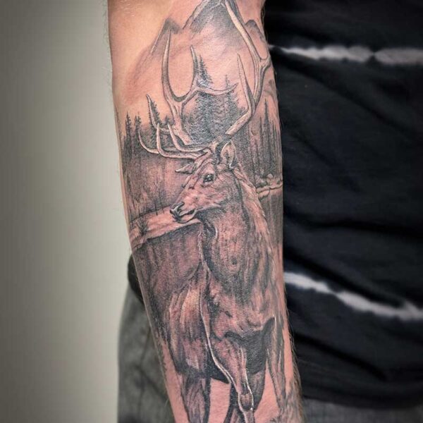 atticus tattoo, black and grey realism tattoo of a bull elk in a mountain scene