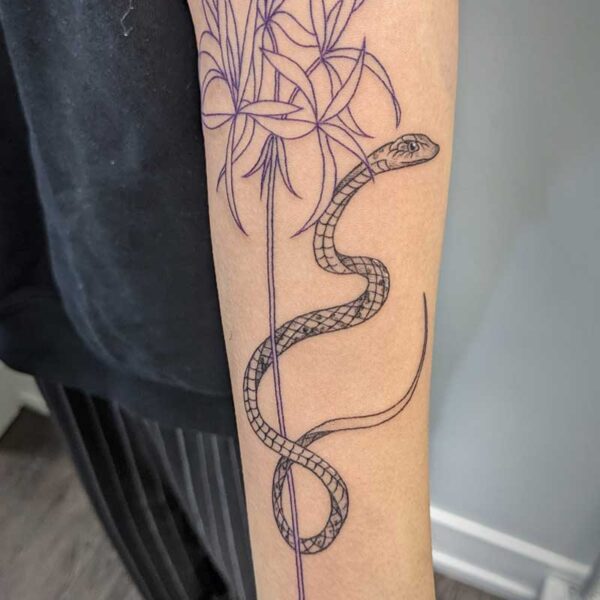 The Tattoo Gallery  Fineline snake piece  tattooed by Sarah Marshall  Tattooist Message us to book in your next tattoo   Facebook