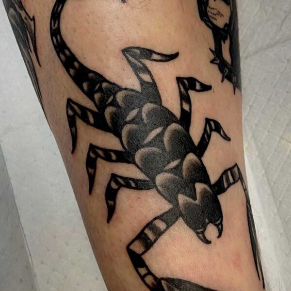 atticus tattoo, black and grey, american traditional tattoo of a scorpion