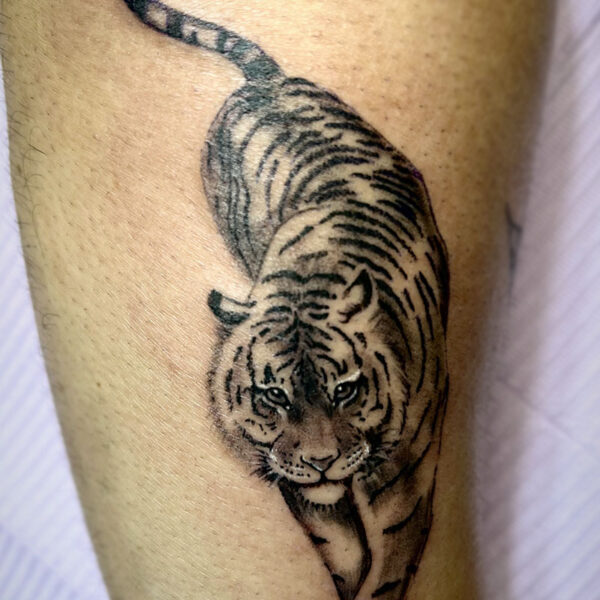atticus tattoo, black and grey tattoo of a tiger