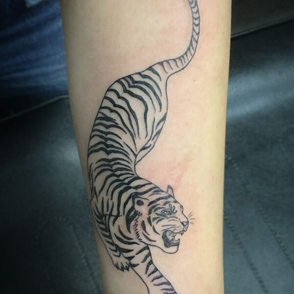 atticus tattoo, black and grey tattoo of a tiger
