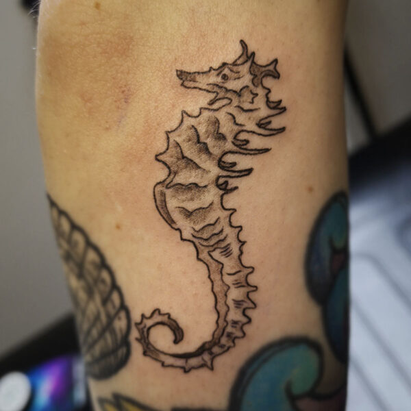 atticus tattoo, black and grey tattoo of a seahorse