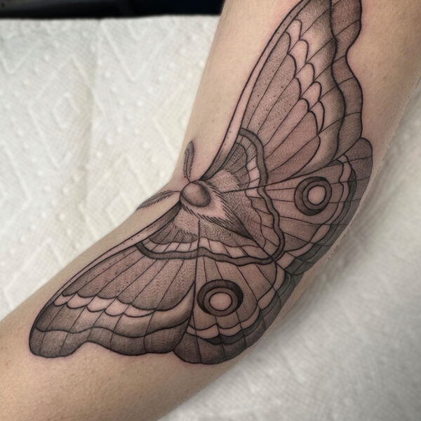 atticus tattoo; black and grey tattoo of a moth