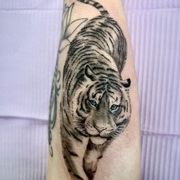 atticus tattoo, black and grey tattoo of a tiger with blue eyes