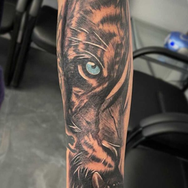 atticus tattoo, black and grey realism tattoo of a tiger with a blue eye