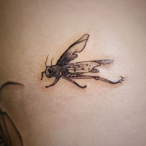 atticus tattoo, black and grey tattoo of a grasshopper