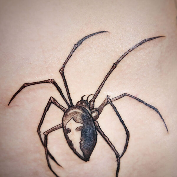 atticus tattoo, black and grey tattoo of a spider