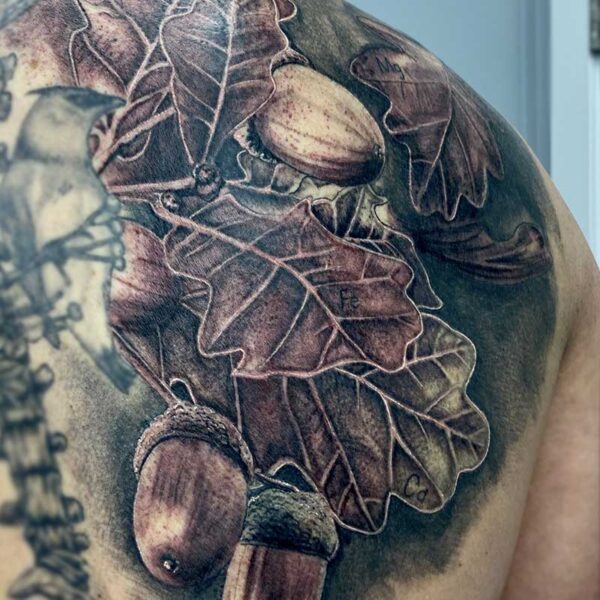 atticus tattoo, realism tattoo of oak leaves and acorns