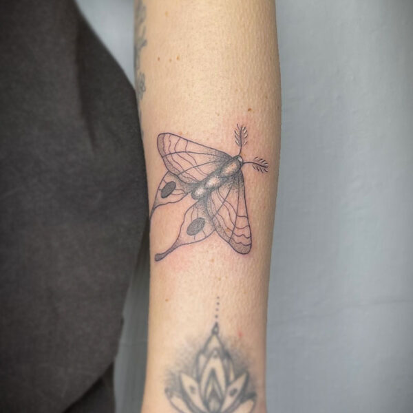atticus tattoo, black and grey tattoo of a moth