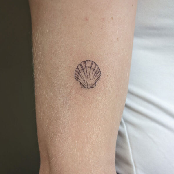 atticus tattoo, fine line tattoo of a clam shell
