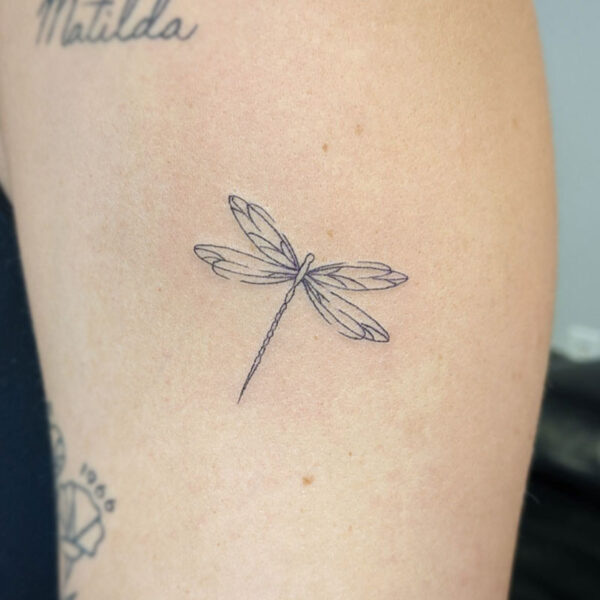 atticus tattoo, fine line tattoo of a dragonfly