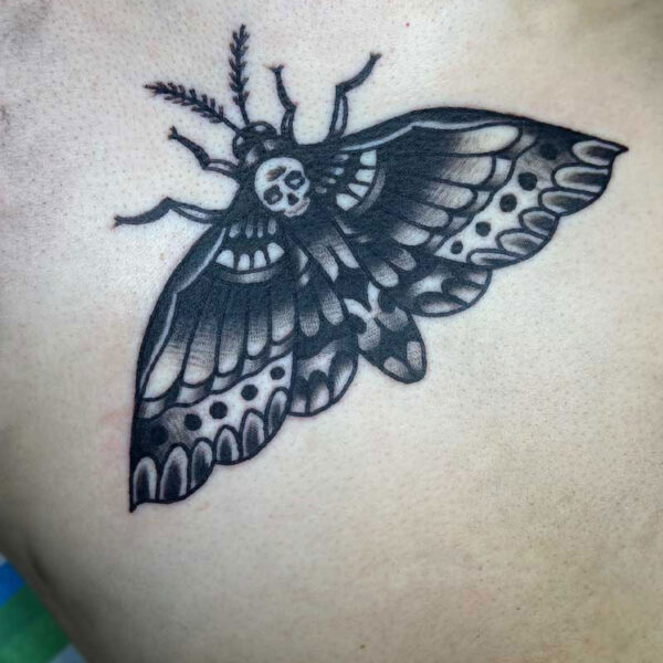 atticus tattoo; black and grey American traditional tattoo of a moth