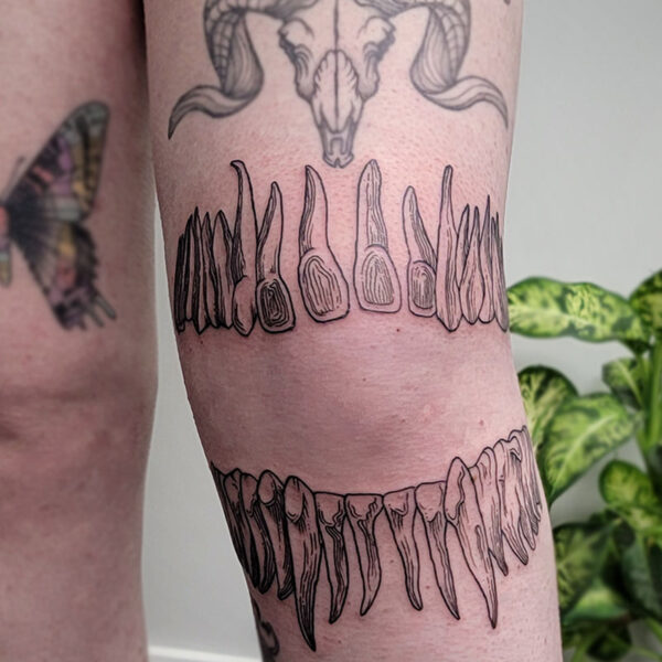 atticus tattoo, black line tattoo of a ring of teeth with the roots attached