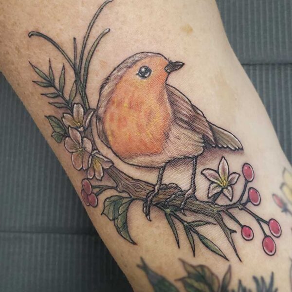 atticus tattoo, coloured tattoo of a robin sitting on a branch of flowers and red berries