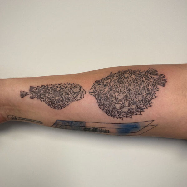 atticus tattoo, black and grey tattoo of pufferfish skeletions