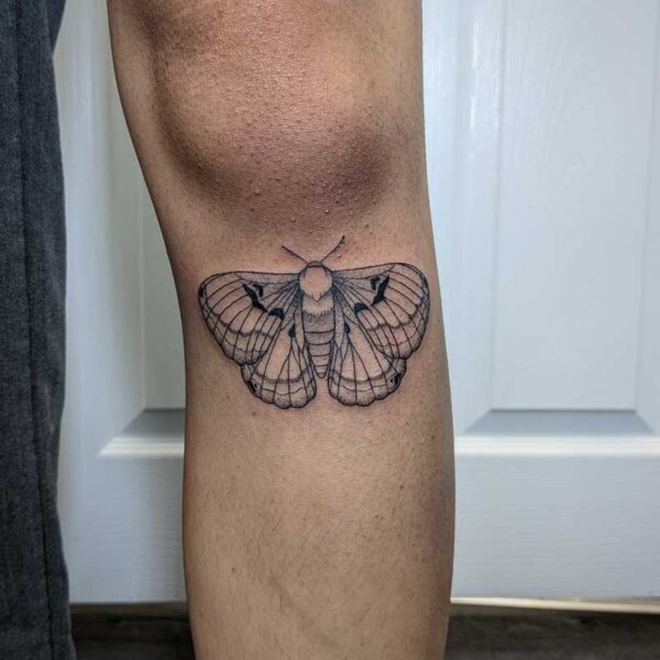atticus tattoo, fine line tattoo of a moth