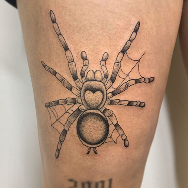 atticus tattoo, american traditional tattoo of a tarantula and spider web