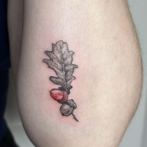 atticus tattoo, black and grey tattoo of an oak leaf with a red acorn