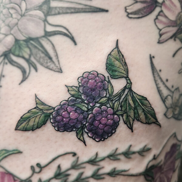 atticus tattoo, neotraditional tattoo of a stem of blackberries