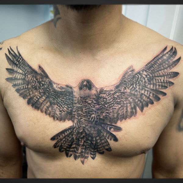 atticus tattoo, black and grey realism tattoo of a hawk with its wings spread