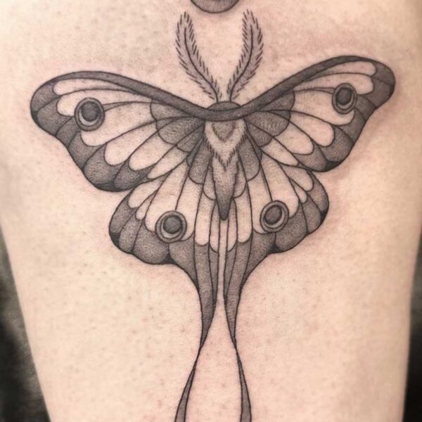 atticus tattoo, black and grey tattoo of a moth and crescent moon