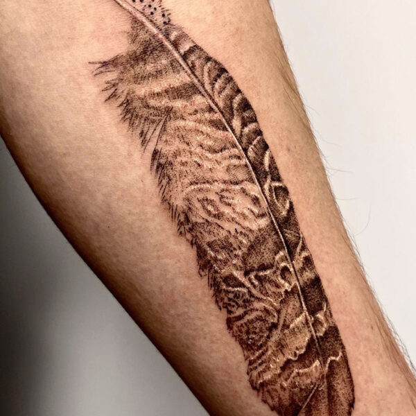 atticus tattoo, black and grey realism tattoo of a feather
