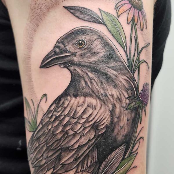 atticus tattoo, neotraditional tattoo of a raven with flowers