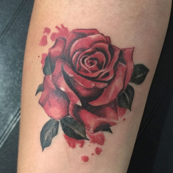 atticus tattoo, realistic tattoo of a red rose
