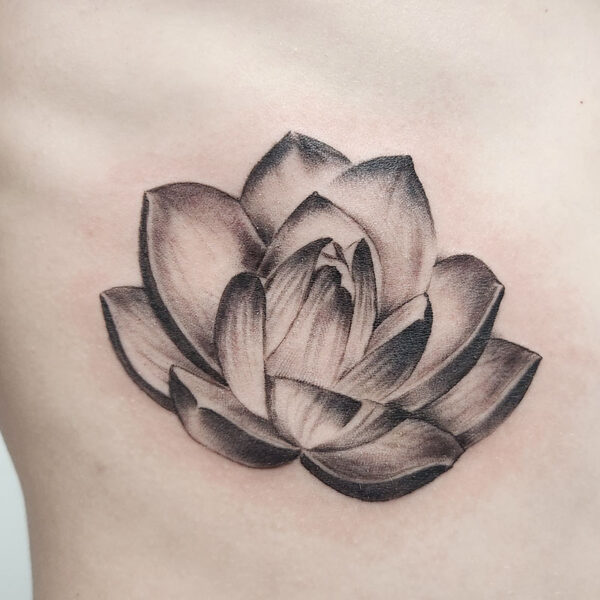 atticus tattoo, black and grey, realism tattoo of a succulent plant
