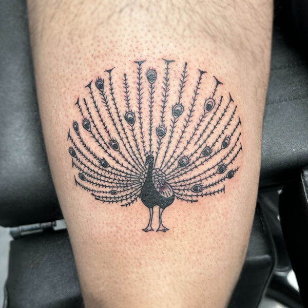 atticus tattoo, black and white tattoo of a peacock