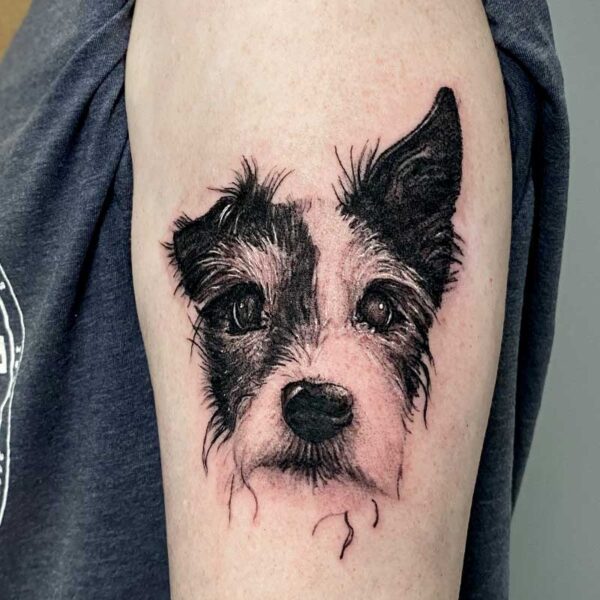 atticus tattoo, black and grey, realism tattoo of a dog portrait