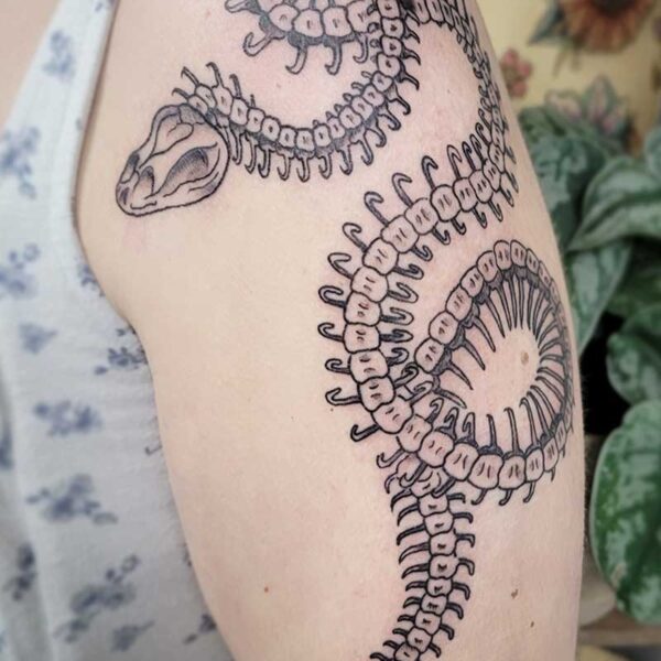 atticus tattoo, black and grey tattoo of a snake's skeleton
