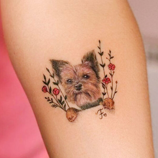 atticus tattoo, coloured tattoo of a yorkshire terrier and red flowers