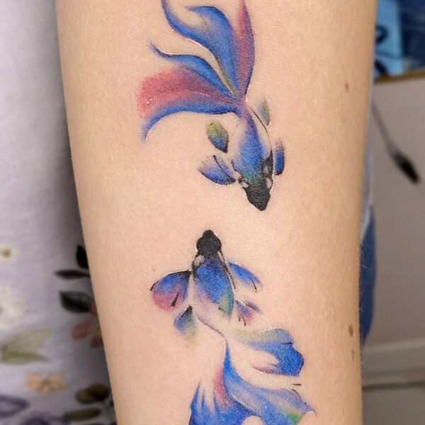 atticus tattoo, water colour tattoo of two beta fish