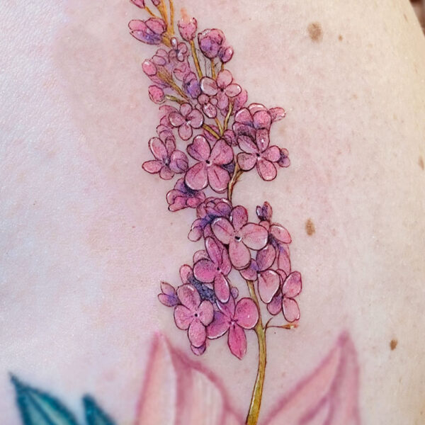 atticus tattoo, coloured tattoo of pink lilacs
