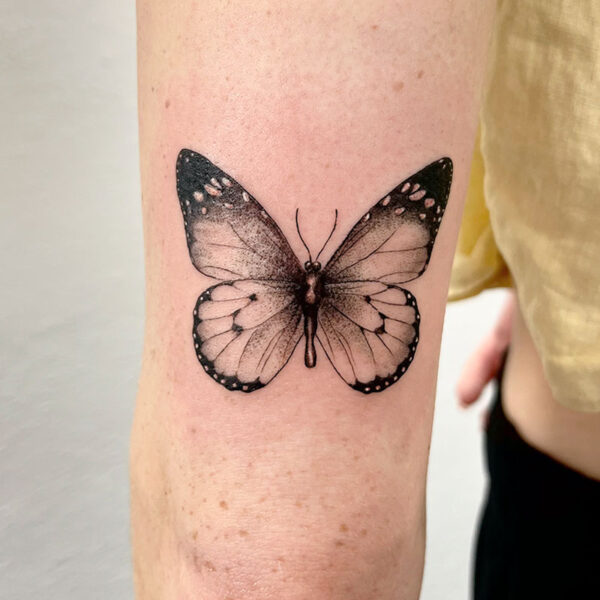 realism_tattoo_butterfly