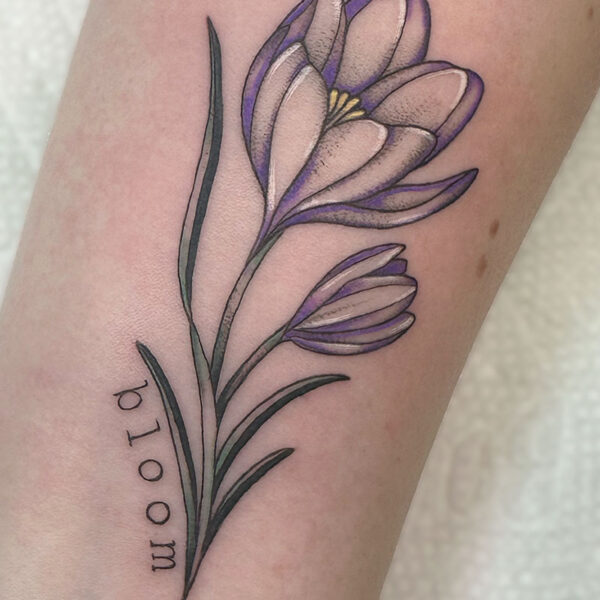 tatto_purple_crocus_bloom