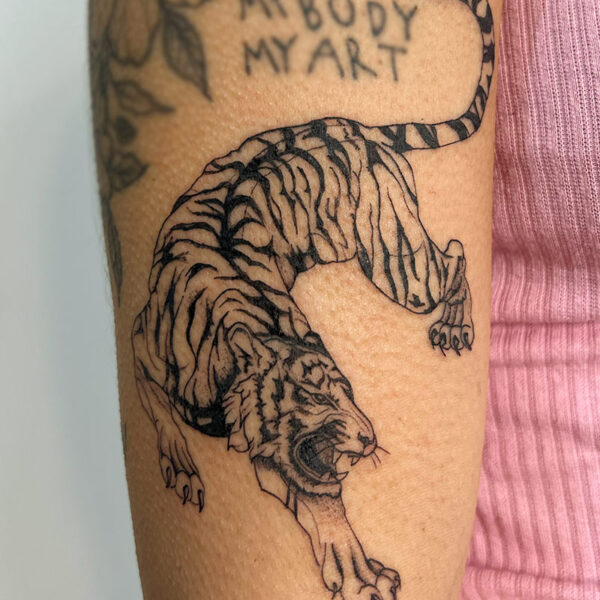 Black and grey tattoo of a tiger