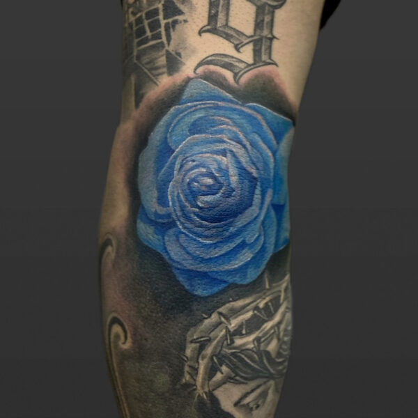 Atticus Tattoo| Colour realism tattoo of a blue rose