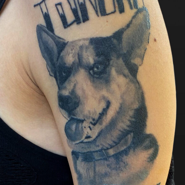 Atticus Tattoo| Black and grey realism tattoo of a portrait of a pet husky mix